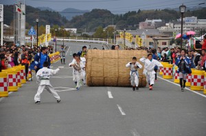 dsc_8822-500